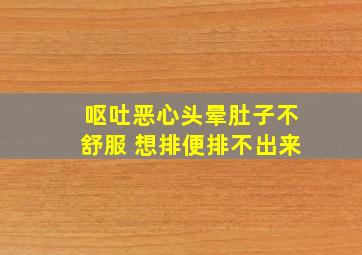 呕吐恶心头晕肚子不舒服 想排便排不出来